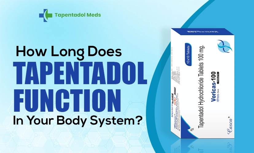 tapentadol function in your body system